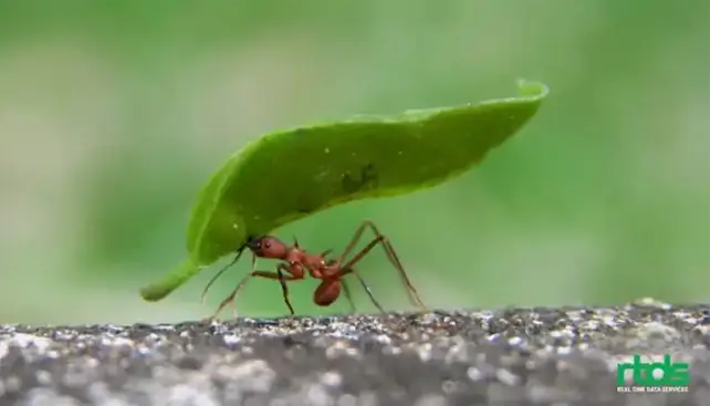 8 Reasons Why Employee Recognition Is Very Important for Company Culture